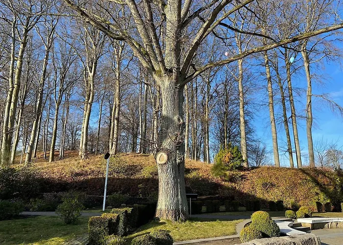 Wilhelmine Sonneck Sellin (Rugen)